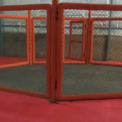 The octagon cage at our Sector 141 club. This is where skills are tested and fighters are made. It's a central feature of our top-tier training environment.