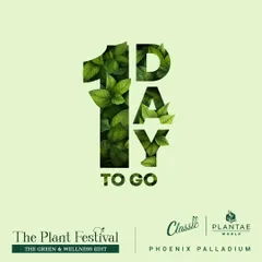 The final countdown to one of our festivals. The excitement is palpable as we prepare to welcome thousands of plant lovers to another green celebration.