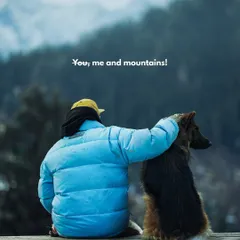 You, me, and mountains. A peaceful moment with a mountain dog in the Himalayas, a reminder of the simple joys of travel.