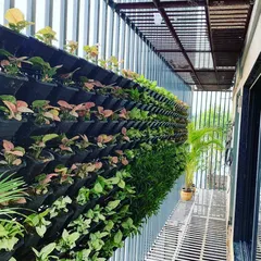 Many apartments have metal grills that obstruct the view. I specialize in designing and installing these beautiful vertical gardens that not only cover the grill but also add privacy and a lush, green view from your living room.