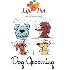 This graphic illustrates our core service: professional dog grooming with a human touch. We offer a complete grooming experience that comes to you, making pet care simple and stress-free.