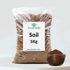 The foundation of any healthy plant is good soil. I provide a nutrient-rich, well-draining potting soil that is perfect for a wide variety of indoor and outdoor plants.