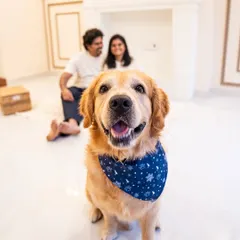 Sometimes, a photoshoot is about freezing a precious moment in time. It was an honor to capture Happy with his family, creating a memory that will bring them comfort and joy for years to come.