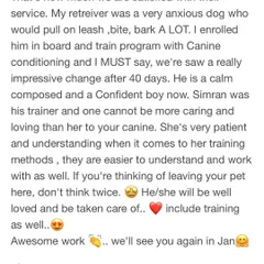 "If there would be more stars I'll def go for it." This client's anxious retriever, who used to pull and bite, is now a calm and confident boy after our Board and Train program.