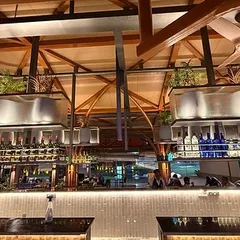 A view of the bar at the Karnataka Golf Association, where our planters are integrated into the overhead structure. This approach adds a layer of green without sacrificing floor space, contributing to a lush, immersive atmosphere.