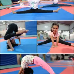 This collage highlights the incredible flexibility our students achieve through dedicated practice, showcasing splits, backbends, and other impressive poses.