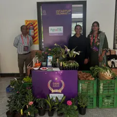 Our stall at the CAIAS Startup Summit, showcasing fresh produce and potted plants. We were proud to be recognized with a startup award at the event.
