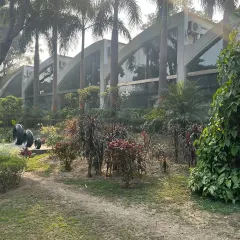 A view of a sprawling garden we designed and maintain for a client. The mix of tall palms, manicured shrubbery, and open lawn space creates a luxurious, park-like setting that complements the modern architecture.