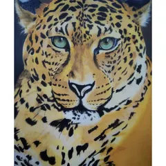 A wildlife painting of a leopard, done in oil colors on canvas. This was my attempt at a hyper-realistic style, focusing on the intense gaze of the eyes and the detailed pattern of the fur.