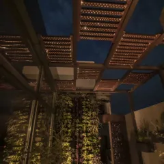 A Tipwood pergola with integrated lighting, creating a beautiful ambiance over a terrace with a vertical garden.