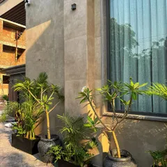 A closer look at the driveway project. The mix of planter shapes and plant heights creates a dynamic and interesting entrance.