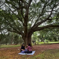 A moment from the sound healing portion of our park session. Using a singing bowl under this large tree created a deeply resonant and grounding experience for everyone.
