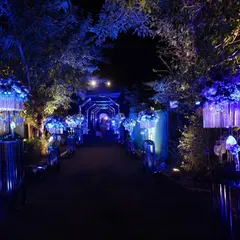 The full view of the grand entrance, where a series of glowing LED arches and lush floral stands create a dramatic and memorable walkway.