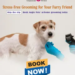 Why deal with the stress of car rides and waiting rooms? We bring the professional grooming experience right to your home. It's the perfect solution for anxious pets or busy pet parents in Bangalore.