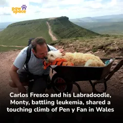 A moment of pure love between Carlos and Monty during their final climb. We believe in cherishing every moment with our furry family members.