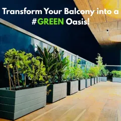 Even at night, a well-designed balcony can become a stunning green oasis. Here, we used sleek fibreglass planters and subtle lighting to create a serene and functional outdoor space perfect for evening relaxation.