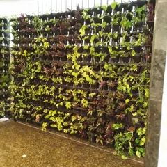 A newly installed vertical garden with a mix of young plants. This shows the initial stage of a living wall, which will grow to become a dense wall of greenery.