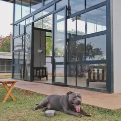 A happy dog relaxing outside our glass-fronted cafe, a cool and comfortable space for our human guests.