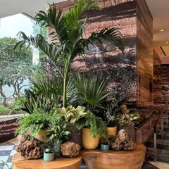 A dynamic, lush plant arrangement can soften even the grandest of spaces. Here, at the Westin Mumbai Powai, we used a curated cluster of plants to bring life and natural texture to the end of a grand staircase.