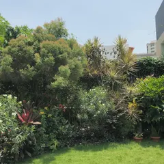 This is the kind of established, beautiful garden that inspires us. We were entrusted with helping the client recreate this feeling in her new home, a testament to the emotional connection we all have with our green spaces.