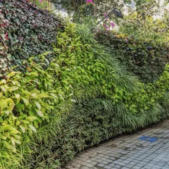 We use plants as our palette to create stunning visual effects. This outdoor green wall features a dynamic wave pattern, achieved by arranging plants with different leaf shapes and shades of green to mimic natural movement.