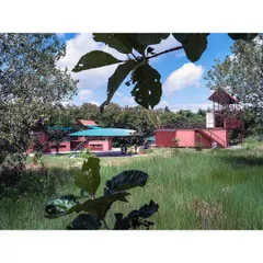 The Earth Alive campus, a project built on the principles of slowness and play, is nestled in a rewilded landscape. We used repurposed shipping containers to create spaces for art and education that sit lightly on the earth.