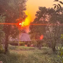 The sunset paints the sky with warmth as evening settles over the ashram. These quiet moments of reflection by the river or among the trees are a cherished part of the daily rhythm here.