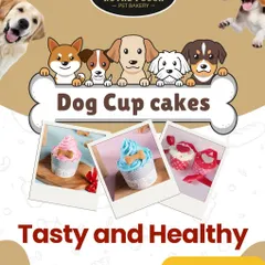 These tasty and healthy dog cupcakes are a perfect single-serving treat. I offer them in various flavors and frosting colors to suit your pet's taste.