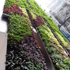 Looking up at a multi-story vertical garden on a corporate building. I can execute complex, large-scale designs that make a bold architectural statement.