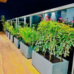 Our designs come alive at night. We strategically use lighting to highlight the plants and create a warm, inviting ambiance, turning your terrace into the perfect spot for evening relaxation.