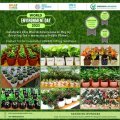 A duplicate image showing our green gifting solutions for World Environment Day 2023. We are proud to offer certified potting mix and maintain a high customer rating for our bulk orders.
