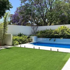 I can create a clean, modern look with a perfect poolside lawn. This backyard features a seamless transition from the crisp turf to the pool deck, surrounded by lush greenery that provides privacy without feeling closed in.
