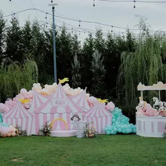 Step right up to a whimsical carousel-themed birthday. This large-scale outdoor setup features a custom circus tent backdrop, a beautiful carousel cake station, and a giant Ferris wheel, proving no dream is too big for us to build.