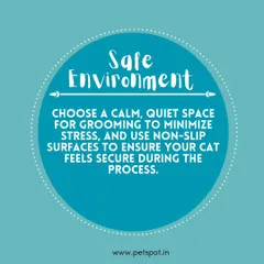 Tip 1 for cat grooming: Create a safe environment. Choosing a calm, quiet space with non-slip surfaces helps minimize stress and ensures your cat feels secure during the process.