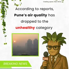 With air quality being a growing concern in cities like Pune, having indoor plants is a simple and natural way to create a healthier personal environment.