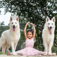 This was a magical shoot combining the grace of a young ballet dancer with her two majestic White Swiss Shepherds. I love bringing unique and creative visions to life.