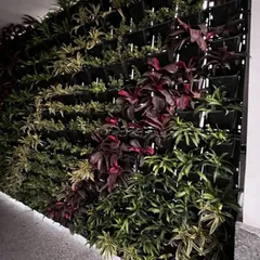 The KR Mangalam vertical garden seen at night. Integrated lighting at the base of the wall illuminates the plants, creating a dramatic and beautiful effect after dark.