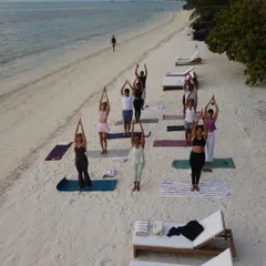Morning salutations to the sun on the beach. Starting the day with group yoga, feeling the sand beneath our feet and hearing the gentle waves, sets a peaceful tone for our island adventures.