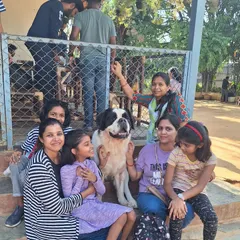 A large group of friends and family gather for a photo with the St. Bernard, showing our park is great for groups.