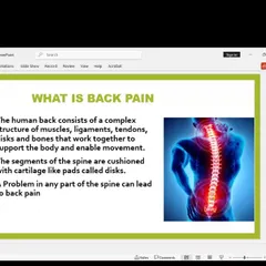 An instructor presenting on the causes and effects of back pain during our specialized workshop. We combine theoretical knowledge with practical solutions to help you understand and heal your body.