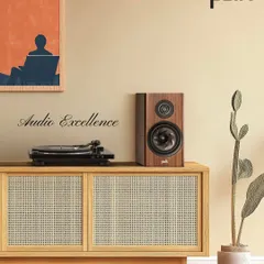 We achieve audio excellence by pairing legendary brands. Here, a Denon turntable setup is matched with a Polk bookshelf speaker, creating a harmonious system that delivers the nuanced, warm sound that vinyl enthusiasts cherish.
