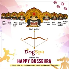 A festive Dussehra post. This holiday, let's target all those pesky pet problems like fleas, shedding, and bad hair days with a touch of professional care.
