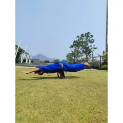 The strongest fighter is the one who rises after every fall. An athlete demonstrates the Mayurasana pose in a blue gi, showcasing the arm-balancing skills we develop.