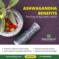 Ashwagandha is known as the king of Ayurvedic herbs for good reason. I recommend it to enhance sleep and mental clarity, reduce stress and anxiety, and boost immunity and strength for complete well-being.