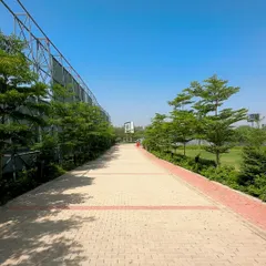 This is a large corporate campus in Gurugram where we handled the complete outdoor landscaping. We planted hundreds of trees to line the pathways and create a green, welcoming entrance for the Adani Realty project.