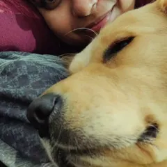 This is Chuppi, the gentle soul who started it all for me. He was the first dog I ever truly connected with and the reason I knew I could bring my own dog, Zoey, home.