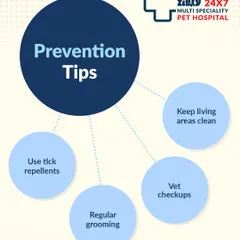 Ticks can cause big problems, but prevention is simple. This infographic outlines four key prevention tips: regular grooming, using tick repellents, keeping living areas clean, and scheduling regular vet checkups.