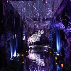 For a truly unique cocktail night, we designed an enchanted forest theme. This mystical entrance features a reflective floor, dramatic purple lighting, and a floating floral installation, promising a night of magic and wonder.