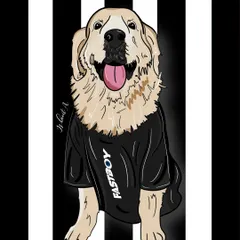 I love capturing the happy spirit of your furry friends. This custom portrait of a smiling golden retriever shows the joyful, personal style I bring to each pet illustration.