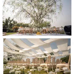 This collage showcases the understated elegance of a minimalist, pastel-hued farmhouse wedding. The focus is on natural beauty, soft colors, and the intimate moments of the ceremony.